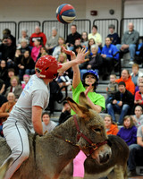 030614pr CTS DonkeyBSB-1