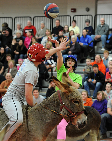 030614pr CTS DonkeyBSB-1