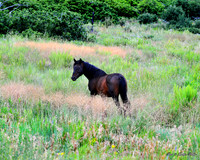 DSC_4719cn