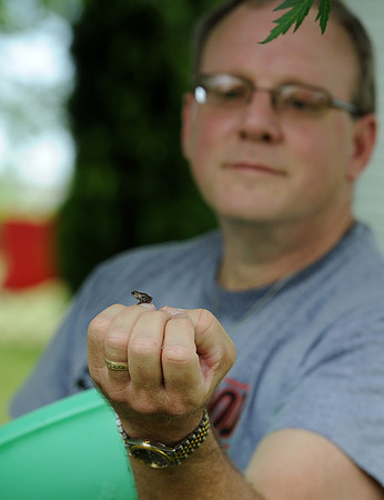 071713pr CTN spadefoot toads_1