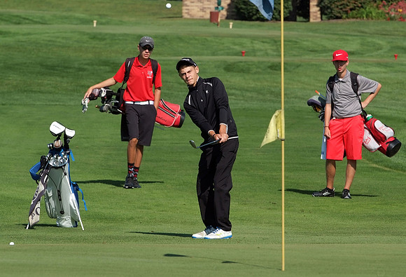 091814pr ZAN ECOL golf-1